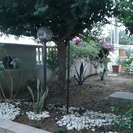 Ida Jonia 6 *
